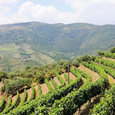 Quinta Do Monte Bravo - Douro - Quarto Duplo Villa Ervedosa do Douro Ngoại thất bức ảnh