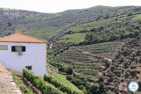 Quinta Do Monte Bravo - Douro - Quarto Duplo Villa Ervedosa do Douro Ngoại thất bức ảnh