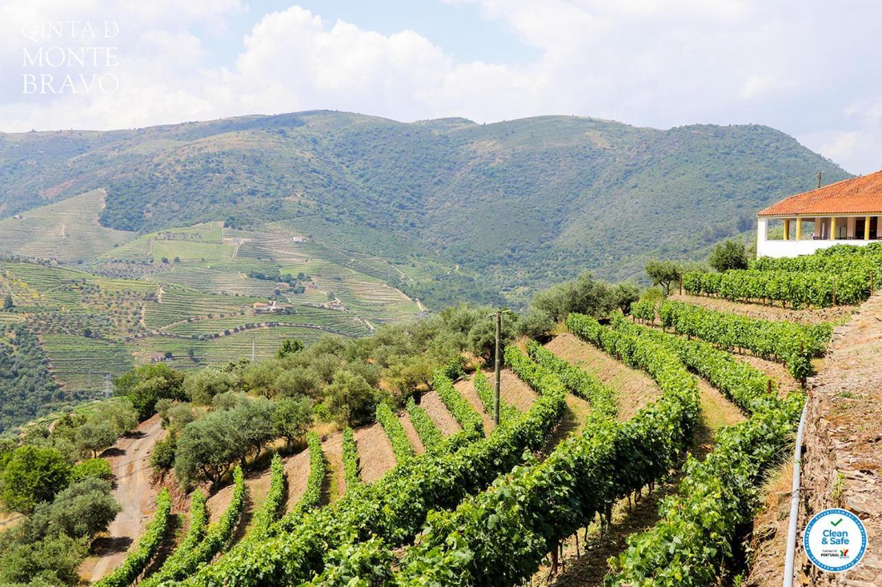 Quinta Do Monte Bravo - Douro - Quarto Duplo Villa Ervedosa do Douro Ngoại thất bức ảnh