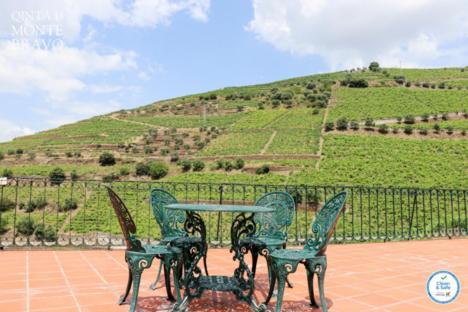 Quinta Do Monte Bravo - Douro - Quarto Duplo Villa Ervedosa do Douro Ngoại thất bức ảnh
