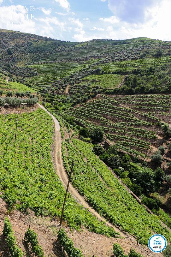 Quinta Do Monte Bravo - Douro - Quarto Duplo Villa Ervedosa do Douro Ngoại thất bức ảnh